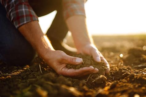 Premium Photo Male Hands Touching Soil On The Field Expert Hand Of