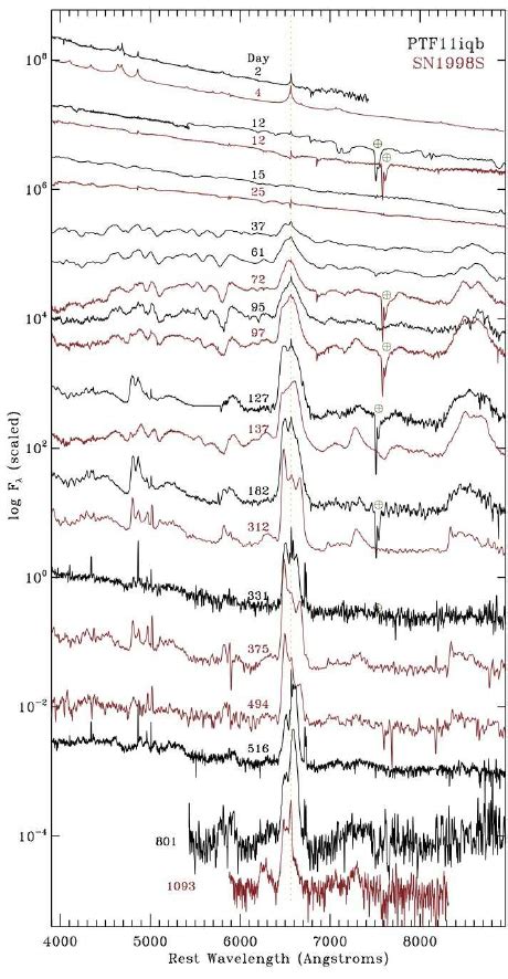 The Spectral Evolution Of PTF11iqb Compared To That Of SN 1998S All