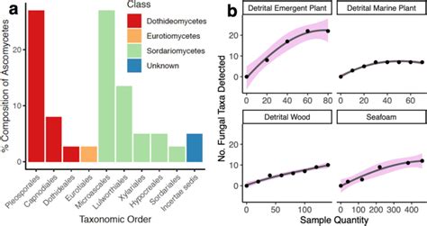 Fungal Diversity And Community Structure From Coastal And Barrier