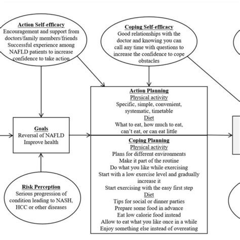 FIGURE HAPA Framework The HAPA Component Of This Figure Was Adapted