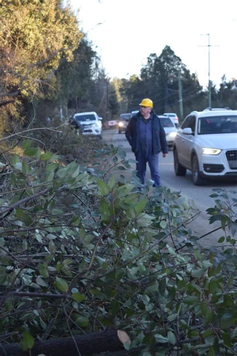 El intendente se sumó a los trabajos de poda preventiva en los