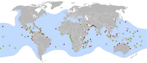 All 7 Different Types Of Sea Turtles Pictures Classification And Facts