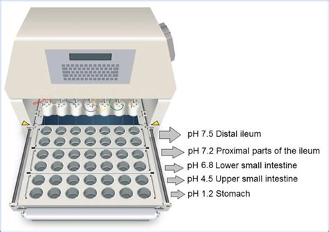 Dissolution Apparatus - PharmaSciences