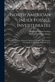 North American Index Fossils, Invertebrates: Protozoa, Porifera ...