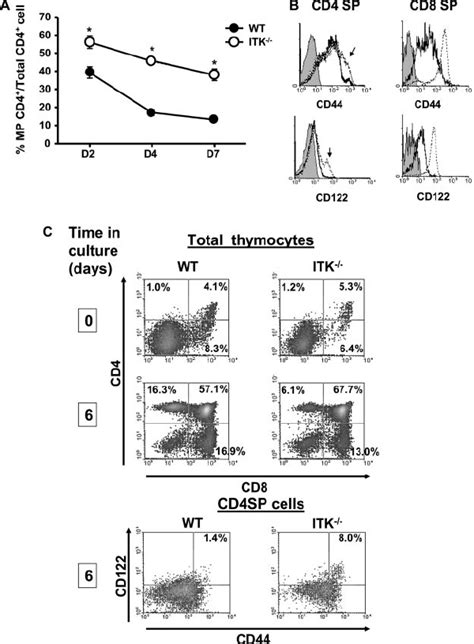 Mp Cd4 ϩ T Cells Develop In The Thymus A Splenocytes From Wt And Itk