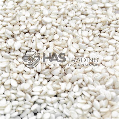 Pakistan Hulled Sesame Seeds Exporters Has Trading