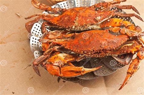 Colossal Steamed And Seasoned Chesapeake Blue Claw Crabs On A Brown Paper Table Cover Stock