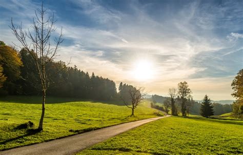 Wallpaper The Sky Grass Look Girl The Sun Clouds Brunette