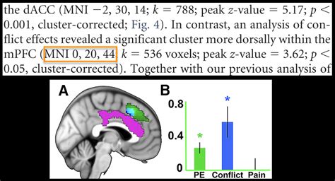 Fmri Tutorial Roi Analysis Andy S Brain Book Documentation