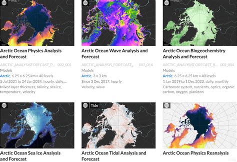 copernicus arctic hub  leap   arctic monitoring arctic hub