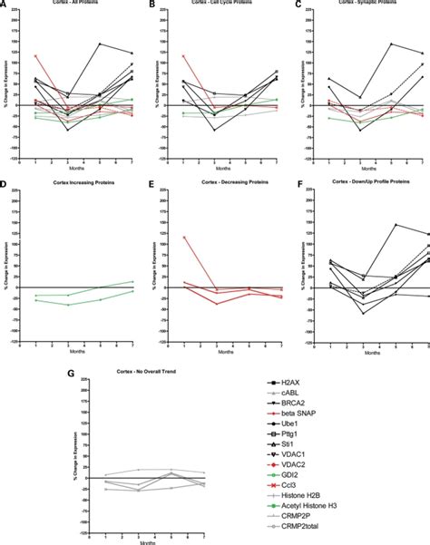 Temporal Progression Of Protein Expression Changes In The Cortex Of