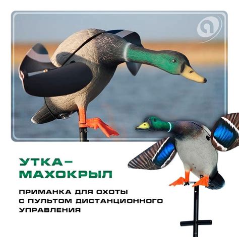 Вопросы и ответы о Махокрыл для охоты электрический селезень утки ...