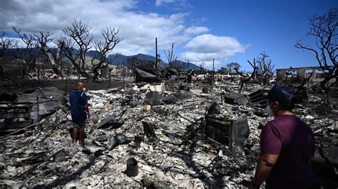 Hawaii Maui Verklagt Stromversorger Wegen Feuerkatastrophe Zeit Online