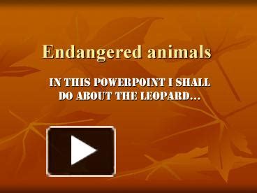 PPT – Endangered animals PowerPoint presentation | free to view - id ...