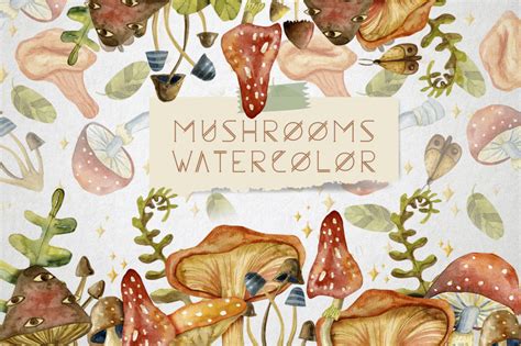 Watercolor Mushrooms By By Anna Sokol Thehungryjpeg