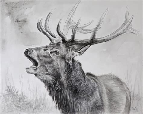 Hirsch Auf Einer Leinwand Gemalen Stag On Canvas Tierwelt Kunst