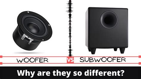 Woofer vs Subwoofer: Why Are They So Different?