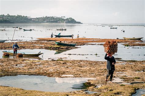 The Seaweed Farms Of Nusa Lembongan Bali A Photo Story TravelPixelz