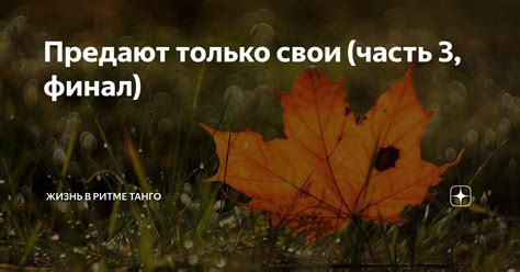 Предают только свои (часть 3, финал) | Жизнь в ритме танго | Дзен
