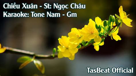 Karaoke Chiều Xuân Tone Nam TAS BEAT YouTube