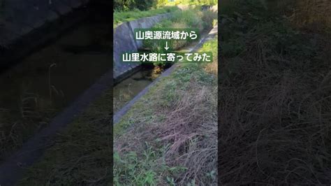 山里の水路に寄って釣りしてみた アウトドア 釣り好き 栃木県 川釣り ルアー釣り 渓流 キャンプ タックル 塩谷町 宇都宮市 釣りgirl