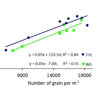 Relationships Between The Number Of Grains Per M 2 And Grain Yield