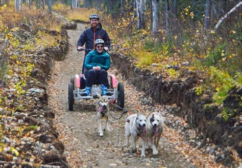 Dryland Dog Mushing | Alaska Shore Excursions