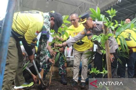 Masyarakat Diajak Tanam Cabai Guna Kendalikan Inflasi Koran Jakarta