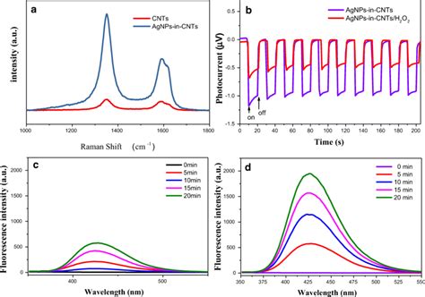 A Raman Spectra Of Cnts And Agnps In Cnts B Transient Photocurrent