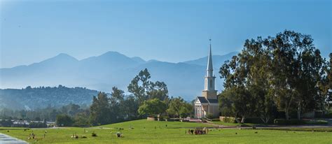 Locations Forest Lawn