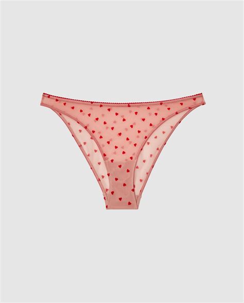 Understatement Mesh Bikini Briefs