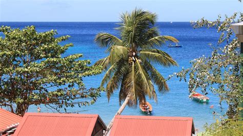 Les plus beaux sites à voir absolument en Martinique en voiture