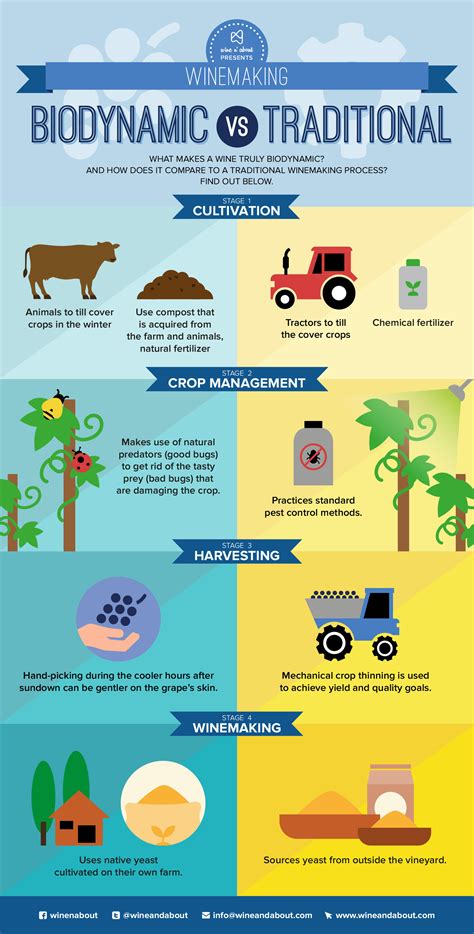 Biodynamic Vs Traditional Winemaking