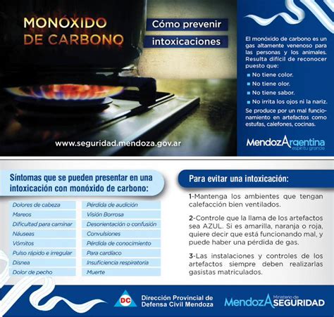 Pdf C Mo Prevenir Intoxicaciones Con Mon Xido De Carbono Dokumen Tips