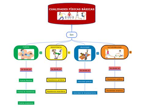 Cualidades Fisicas Basicas Mind Map Porn Sex Picture