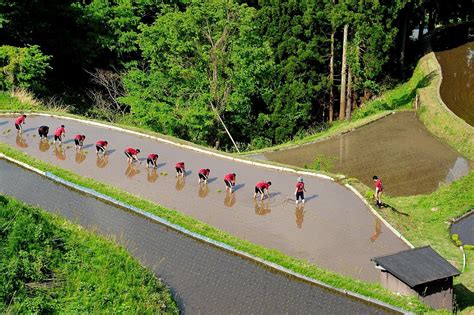 うへ山の棚田｜観光スポット｜【公式】兵庫県香美町の観光・旅行情報サイト「香美町観光ナビ」