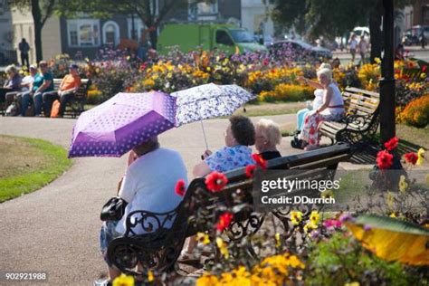 22 Old Woman Sleeping Recliner Stock Photos High Res Pictures And