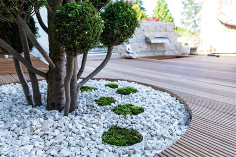 Cách Sử Dụng Decorative Yard Rocks để Tạo điểm Nhấn Cho Sân Vườn Của Bạn