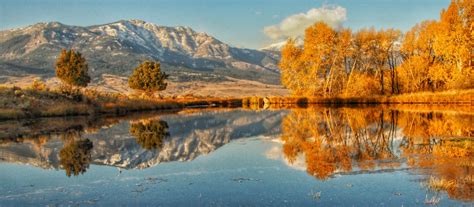 Fall Colors in Yellowstone - A Yellowstone Life