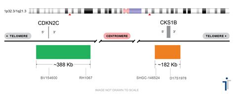 pq fish probe empire genomics