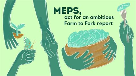 Farm To Fork Priorities For Sustainable Food Systems Epha