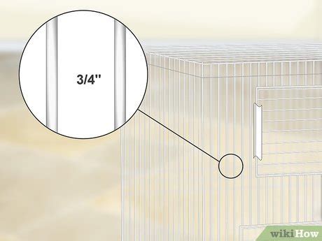 3 Ways to Set Up a Caique Parrot Habitat - wikiHow Pet