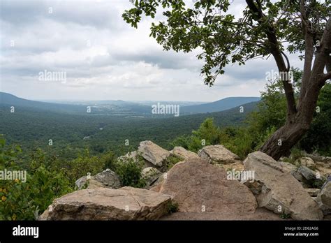 Hawk mountain sanctuary hi-res stock photography and images - Alamy