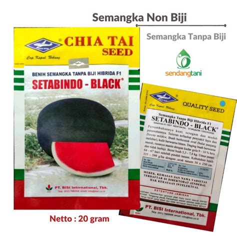 Jual Semangka Tanpa Biji SETABINDO BLACK F1 Benih Bibit Semangka Non