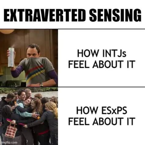 26 Memes Any Intj Will Relate To Psychology Junkie