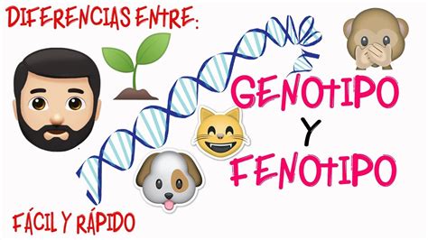 🔬genotipo Y Fenotipo👀 Diferencias Fácil Y Rápido BiologÍa Youtube