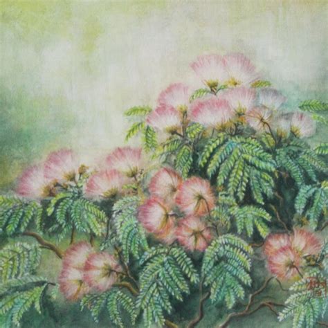 Mimosa Tree Etsy