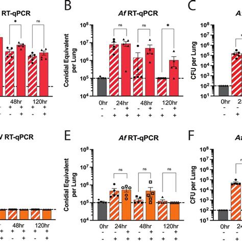 Viral And Fungal Load In The Lungs As Determined By RT QPCR Analysis