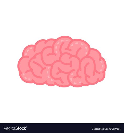 Pink Human Brain Royalty Free Vector Image Vectorstock