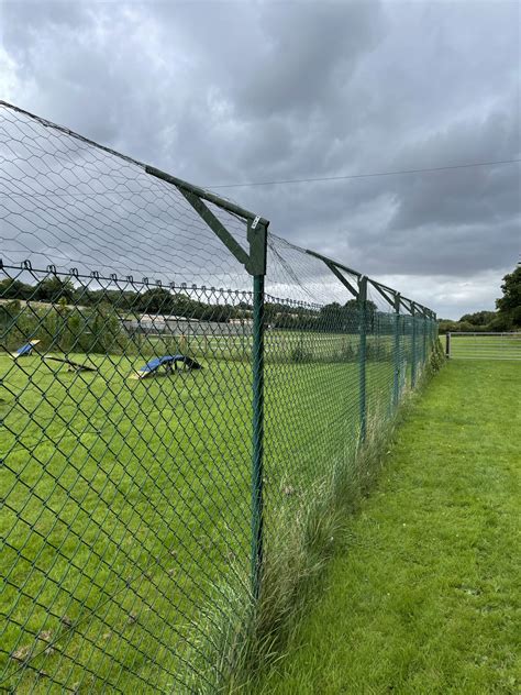 Paddock Hire At Nawt Berkshire Dog Parks Near Me